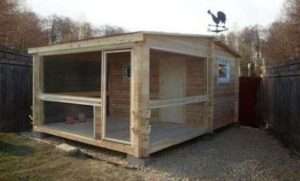 Корисні рекомендації по утриманню курей в домашніх умовах