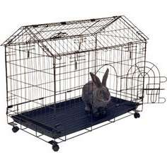 Як проводити дезінфекцію кліток для кроликів