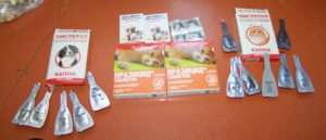 Характерні ознаки появи бліх у курей