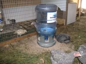 Види саморобних поїлок для курей