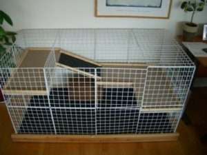 Яка вартість клітки для кролика в зоомагазині