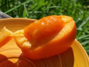 Бурштиновий кубок