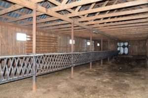 Як побудувати козлятник на власній козячій фермі