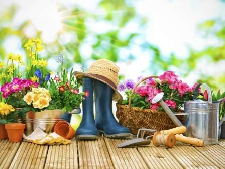 Місячний посівний календар на 2022 рік - таблиця посадки для садівника, огородника