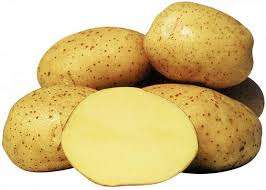 Ультраранні сорти картоплі - опис, характеристика з фото та відгуками: Як вибрати сорт ранньої картоплі