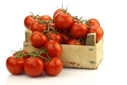 Найурожайніші детермінантні сорти помідорів для відкритого грунту - фото з описом