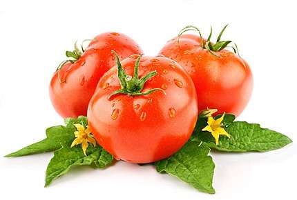 Кращі сорти помідор для посадки на дачі в 2021 році