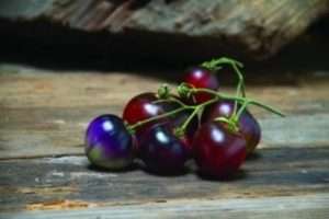 Чорні помідори - в чому їх перевага над іншими сортами