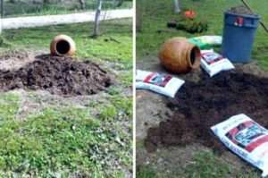 Головні ідеї для саду з цибулинних квітів і багаторічників