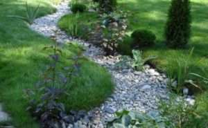 Сухий струмок з квітів