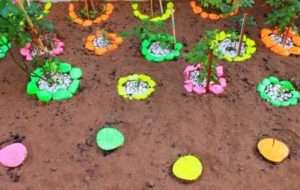 Готова "Радуга"