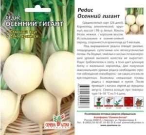 Осінній гігант - редиска