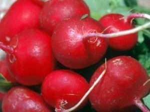 Дунганський 12/8