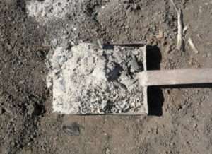 У сильно виснажені ґрунти вносять сухий сульфат калію, суперфосфат