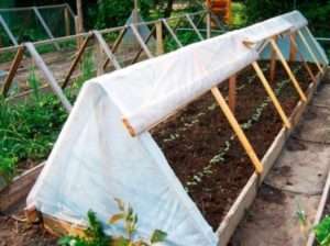 Безпосередня посадка