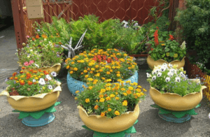 Підготування ділянки