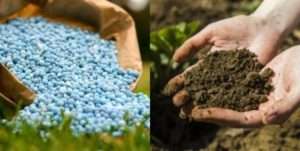 Підживлення