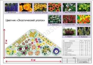 Квітник екзотичний куточок, приклад