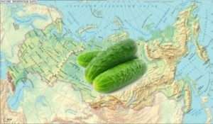 Підготовка насіння