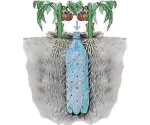 вкопана система крапельного зрошування