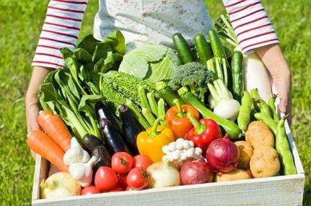 Календар дачника: сезонні роботи на городі в серпні