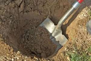 Серпневі посадки і підготовка до них на дачі