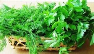 Способи заготівлі зелені 