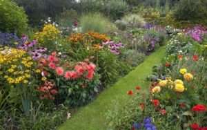 роботи на клумбах в серпні