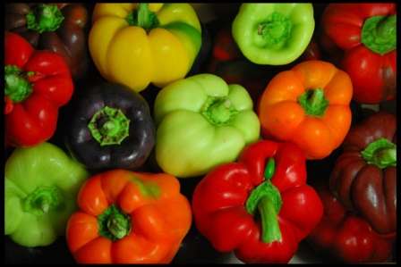 Кращі сорти перцю для вирощування на городі у 2022 році в Україні - опис та характеристика з фото