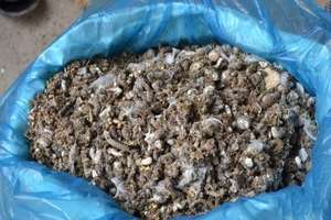 Як правильно розводити курячий послід як добриво: властивості, застосування та відгуки з фото