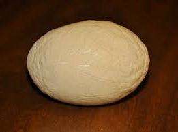 Причини появи вірусу 