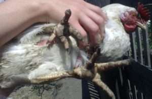 Методи лікування