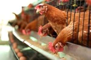 Методи лікування