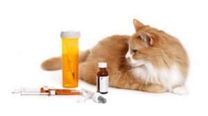 Ліки та ветеринарні препарати для тварин - каталог ветпрепаратів з описом інструкцією та фото