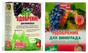 Удобрювання і підживленя винограду 