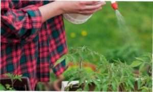 Використання перекису водню в господарстві