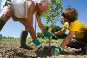 Якщо раптом пропустили терміни посадки?