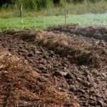 Що робити, якщо не вдається провести підживлення за графіком