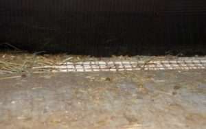 Особливості розташування сітки