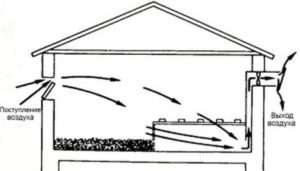 Система повітрообміну в курнику