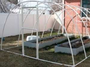 Особливості сучасних теплиць і парників: в чому вони полягають
