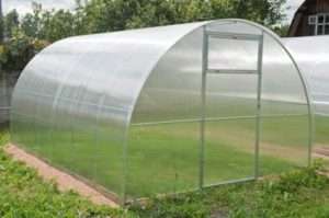 Теплиці і парники як зробити своїми руками: вирощування овочів, розсади, зелені та квітів в теплицях та парнику