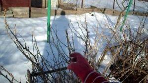 Для чого ж потрібне проведення даної процедури