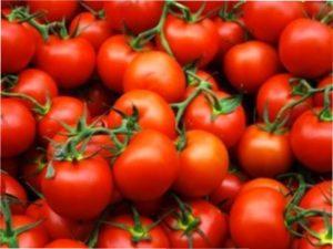  «Невський»