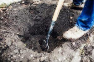 В яму потрібно помістити торф 