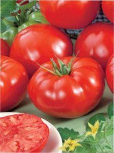 Томат сорту F1 Біг Біф