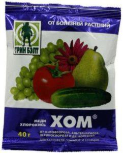 обприскування томатів розчином «Хом»