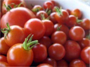 Найкращі сорти томатів для вирощування