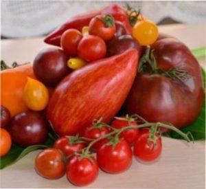 Мінуси пасинкування помідорів