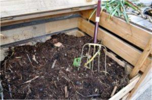 Томати без пасинкування: переваги та догляд